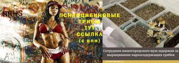 прущие крисы Алексин