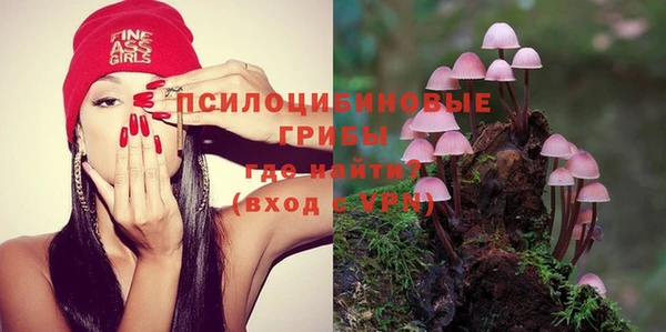 прущие крисы Алексин