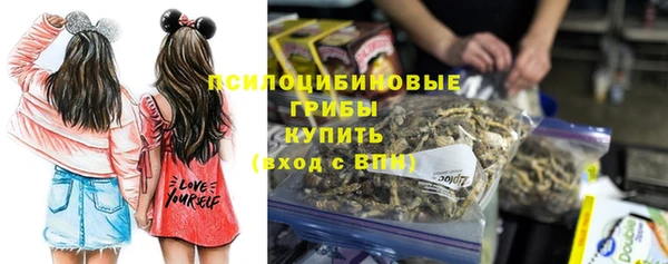 ГАЛЛЮЦИНОГЕННЫЕ ГРИБЫ Абинск