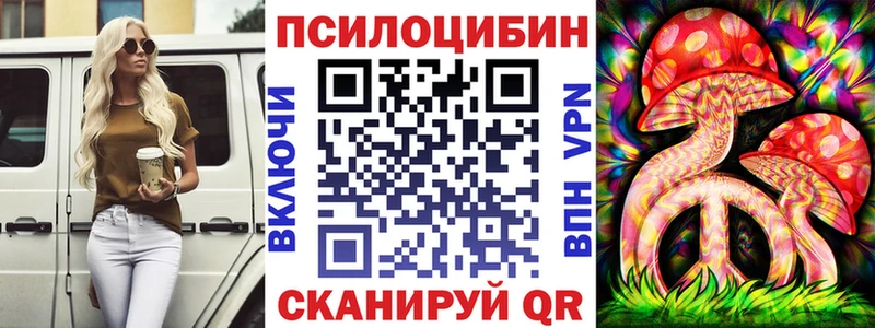 купить  цена  Протвино  Псилоцибиновые грибы Psilocybine cubensis 