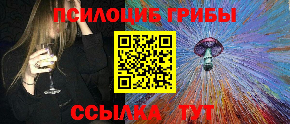 Псилоцибиновые грибы прущие грибы  Вход с VPN  Протвино  Галлюциногенные грибы Psilocybe 